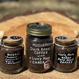 Gourmet Ground Mushroom Coffee with Lion’s Mane & Chaga - 6 oz